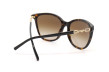 Сонцезахисні окуляри EMPORIO ARMANI 4173 500213  GRADIENT BROWN