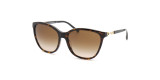 Сонцезахисні окуляри EMPORIO ARMANI 4173 500213  GRADIENT BROWN