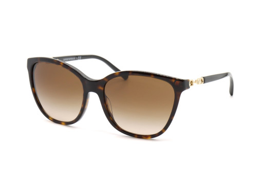Сонцезахисні окуляри EMPORIO ARMANI 4173 500213  GRADIENT BROWN