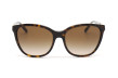 Сонцезахисні окуляри EMPORIO ARMANI 4173 500213  GRADIENT BROWN