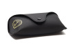 Сонцезахисні окуляри RAY-BAN 4420 601/87  DARK GREY