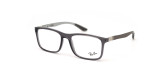 Оправа RAY-BAN 8908 8061