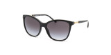 Сонцезахисні окуляри EMPORIO ARMANI 4173 50018G  GRADIENT GREY