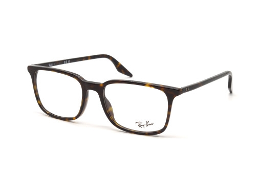 Оправа RAY-BAN 5421 2012