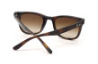 Сонцезахисні окуляри RAY-BAN 4420 710/13  BROWN GRADIENT