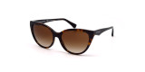 Сонцезахисні окуляри EMPORIO ARMANI 4162 587913  GRADIENT BROWN
