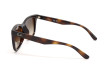 Сонцезахисні окуляри RAY-BAN 4420 710/13  BROWN GRADIENT