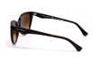 Сонцезахисні окуляри EMPORIO ARMANI 4162 587913  GRADIENT BROWN
