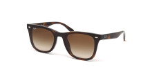 Сонцезахисні окуляри RAY-BAN 4420 710/13  BROWN GRADIENT