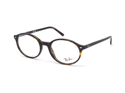 Оправа RAY-BAN 5429 2012