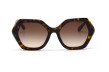 Сонцезахисні окуляри DOLCE & GABBANA 4406 502/13  GRADIENT BROWN