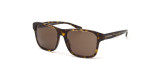 Сонцезахисні окуляри EMPORIO ARMANI 4208 605273  DARK BROWN