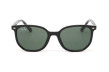 Сонцезахисні окуляри RAY-BAN 9097S 100/71  DARK GREEN