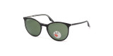Сонцезахисні окуляри RAY-BAN 2204 919/58  POLAR GREEN