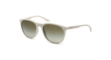 Сонцезахисні окуляри EMPORIO ARMANI 4210 53448E  GRADIENT GREEN