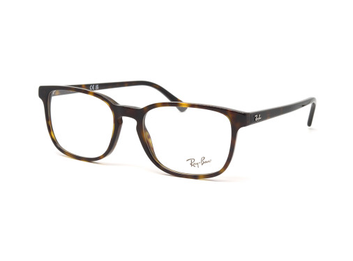 Оправа RAY-BAN 5418 2012