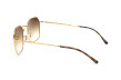 Сонцезахисні окуляри RAY-BAN 3694 001/51  CLEAR GRADIENT BROWN
