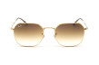 Сонцезахисні окуляри RAY-BAN 3694 001/51  CLEAR GRADIENT BROWN